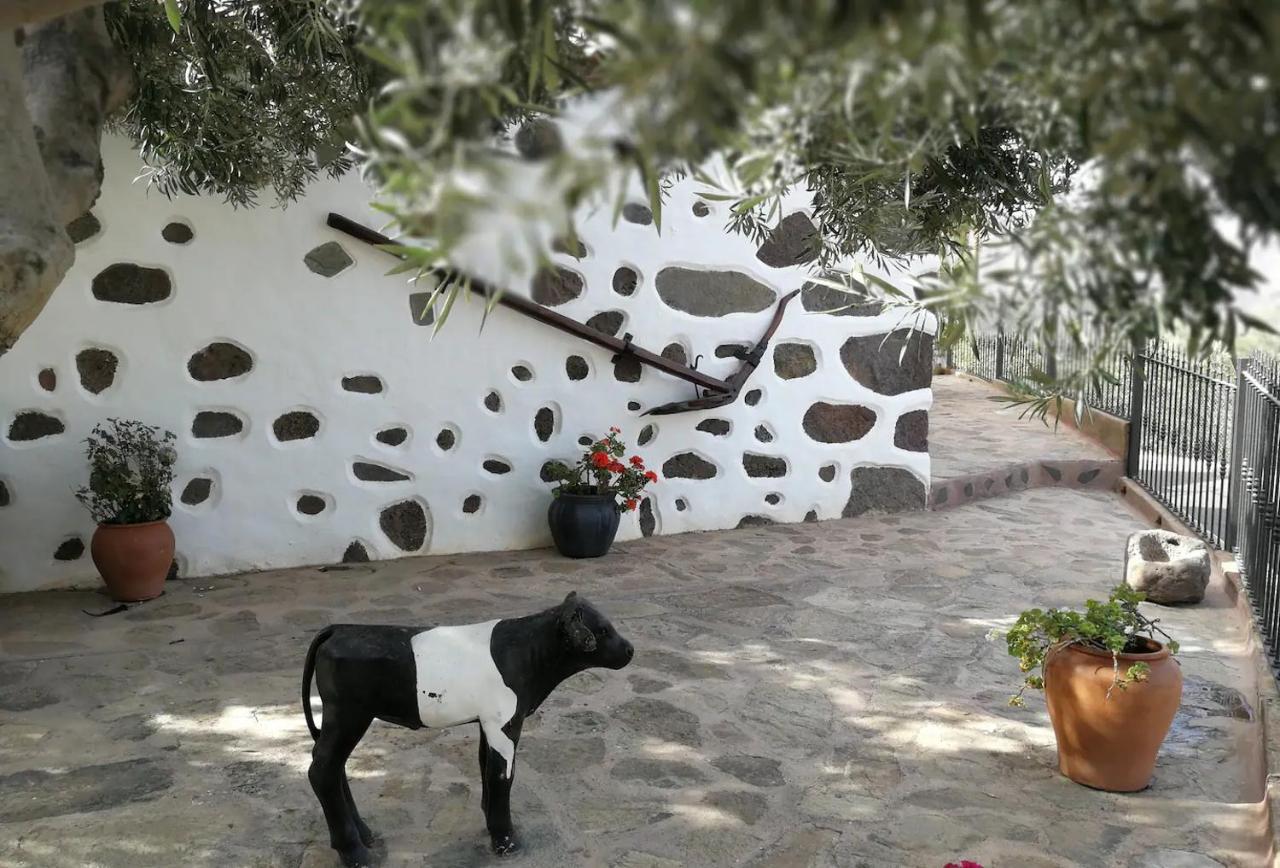 הוילה Santa Lucia La Casa Vieja De La Montana מראה חיצוני תמונה